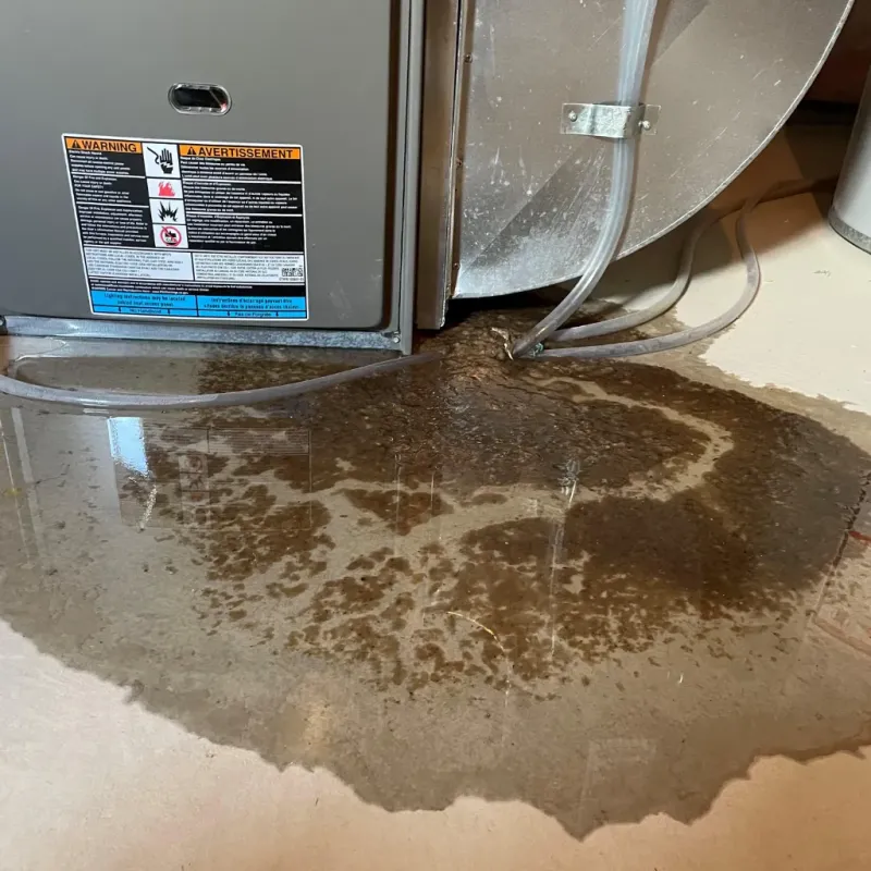 Appliance Leak Cleanup in Wildwood, FL